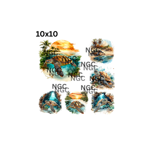 10x10 (6) sea turtles