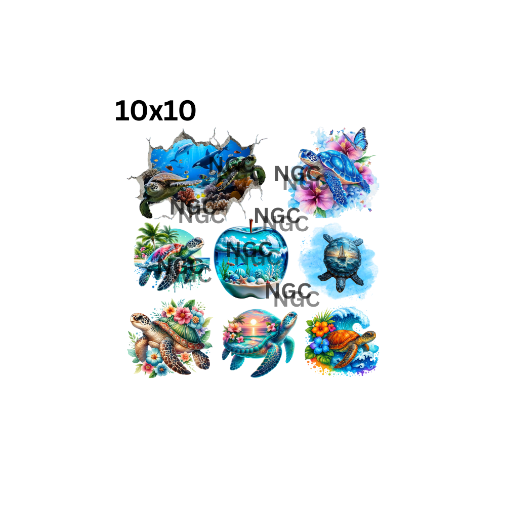 10x10 sea turtles