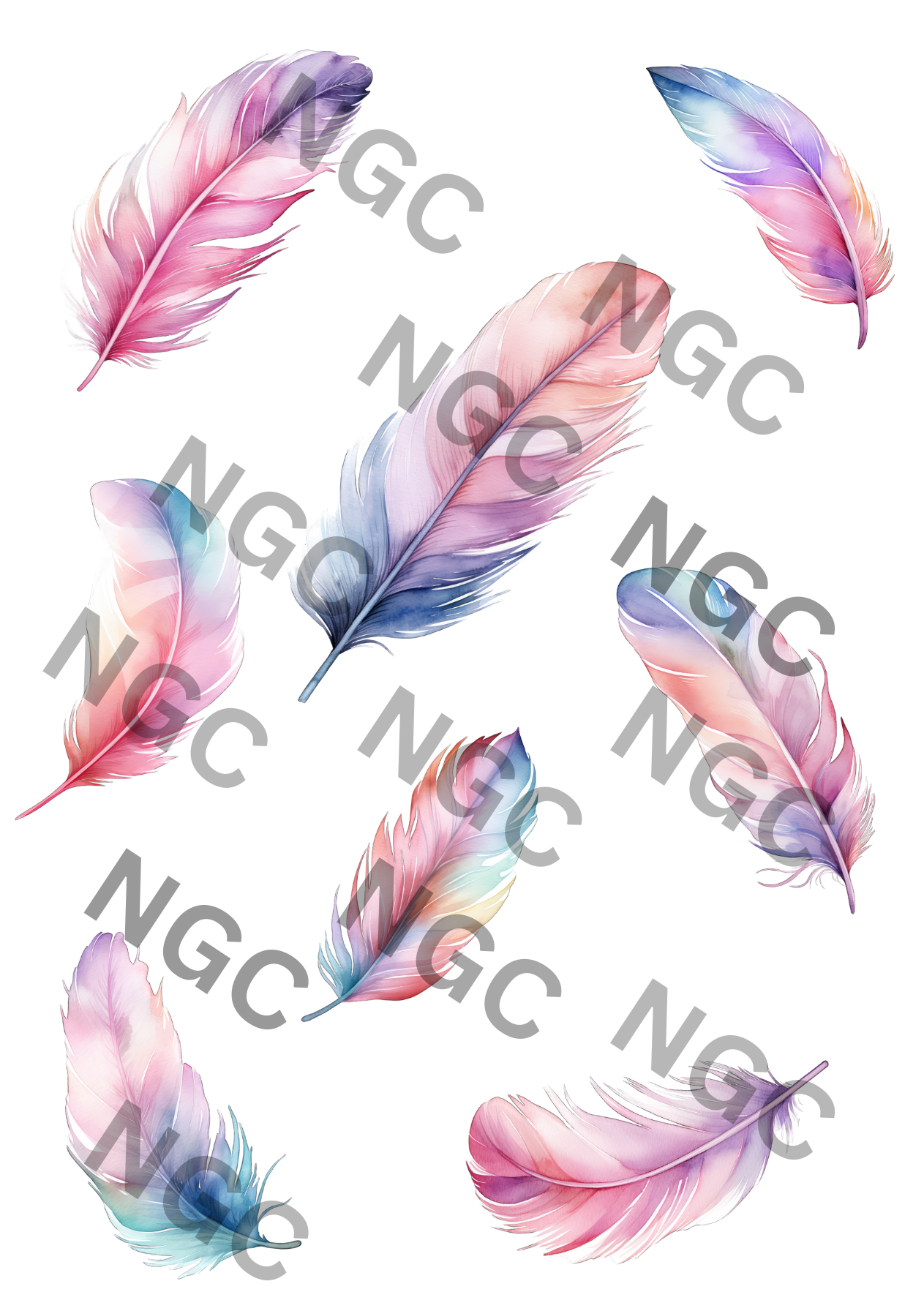 A5 Notebook feathers4