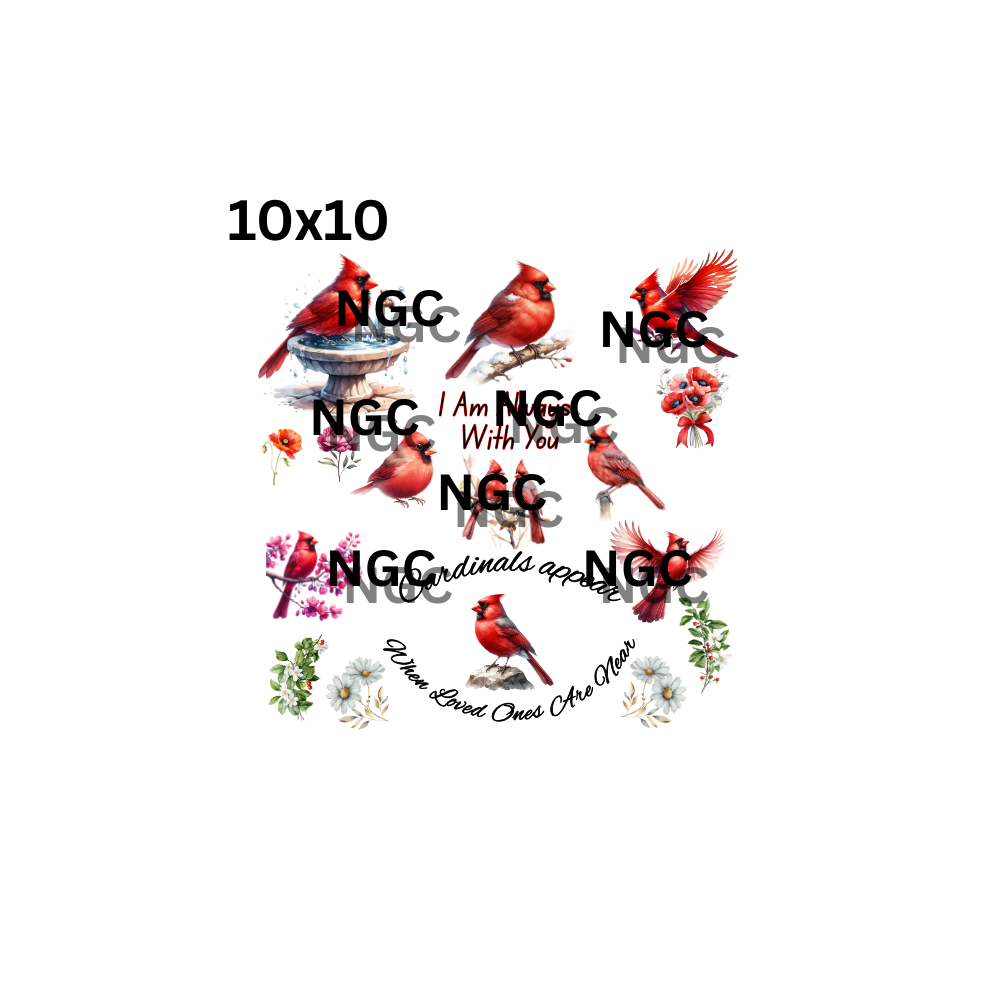 10x10 cardnials elements