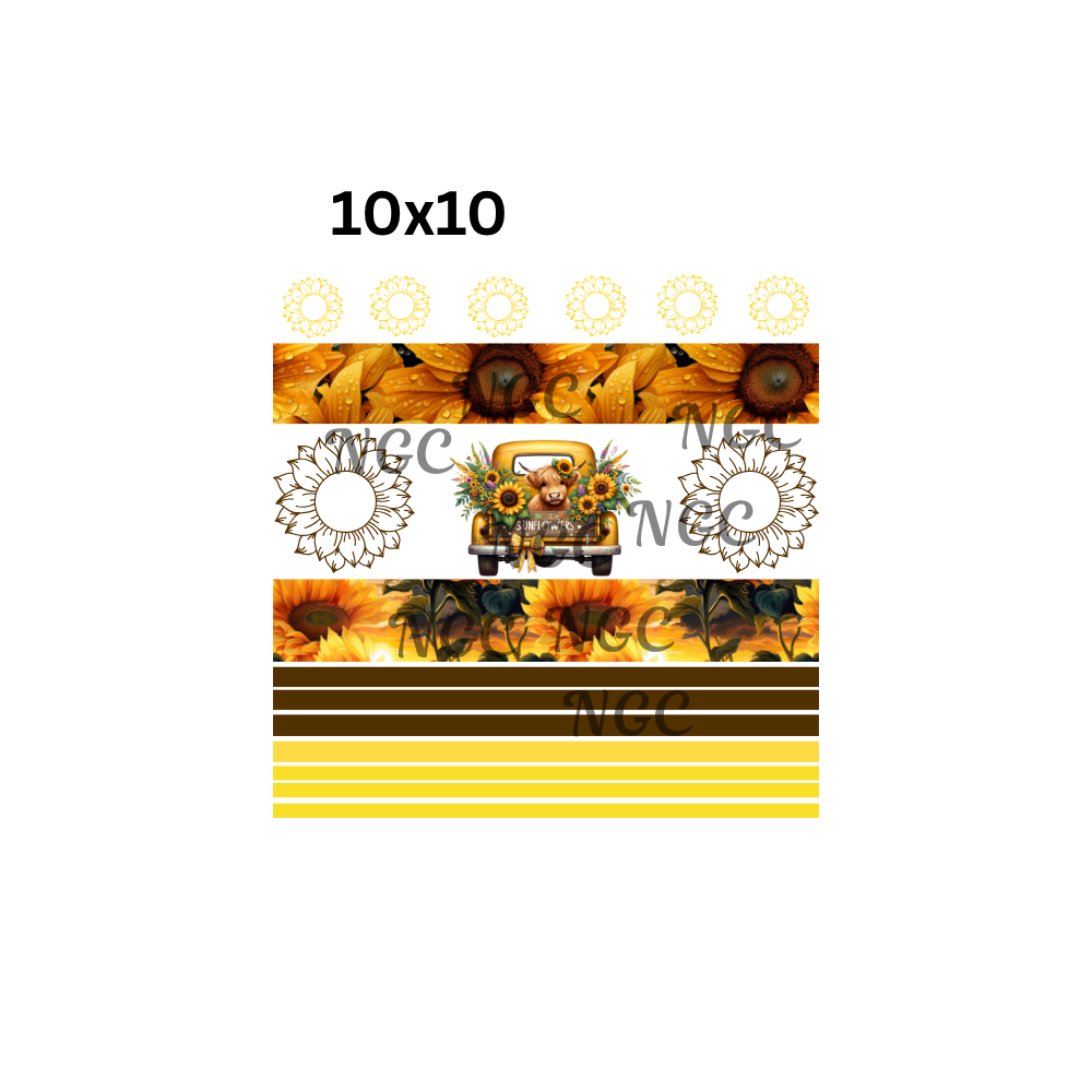 10x10 sunflowers
