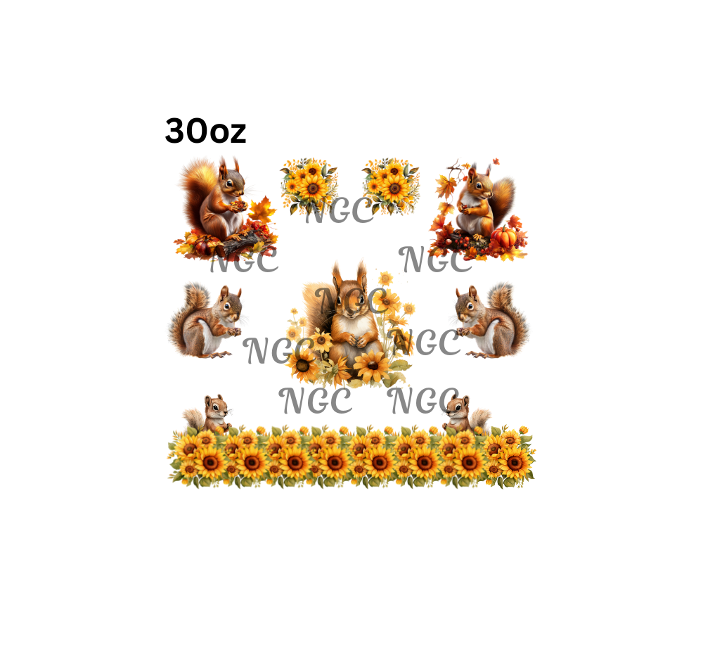 30oz squirrels with sunflowers