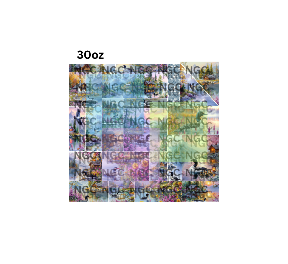 30oz loons patchwork pre cut