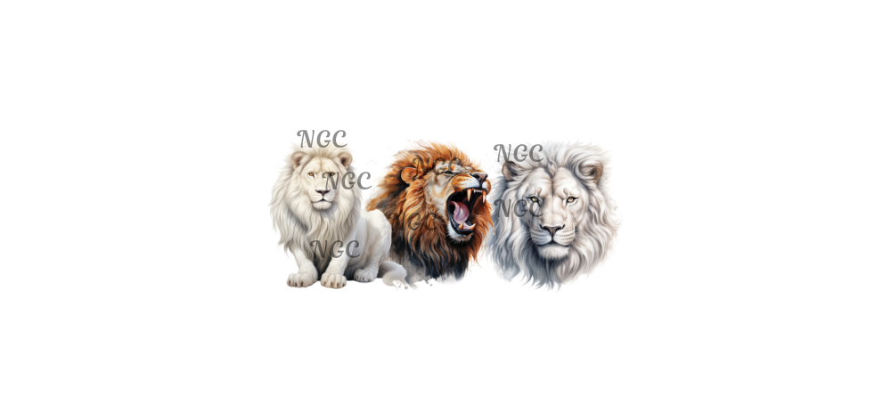 16 oz wrap lions