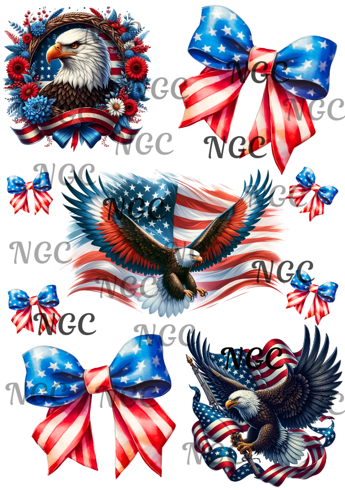 A5 Notebook Americana eagles