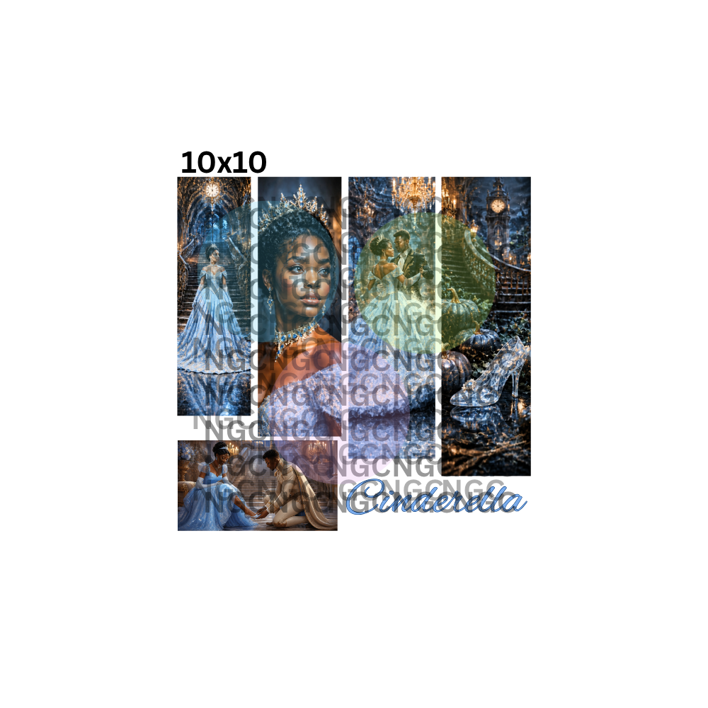 10x10 cinderella melanin