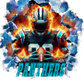 single decal panthers
