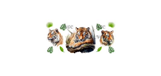 16oz tigers