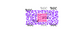 16 oz wrap hot pink and purple teacher