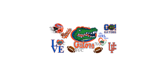 16oz florida gators football