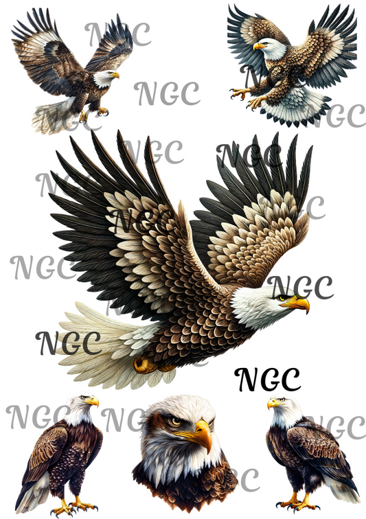 A5 Notebook   soaring eagles