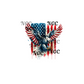 single decal  flag & eagle