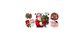 16oz santa with present