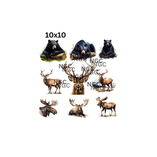 10x10 bears moose elk