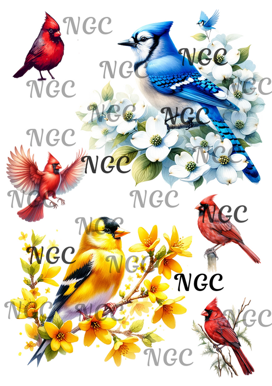 A5 Notebook Birds