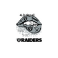 decal raiders