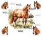 20oz wrap horse1