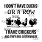 single decal I dont have ducks