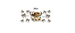 16oz cow skull southwestern with bows