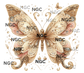 single decal butterfly8