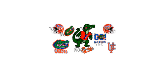16oz florida gator2 football