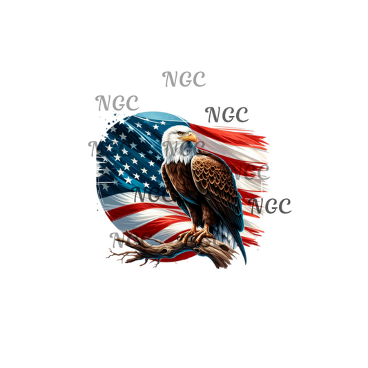 single decal american flag with eagle