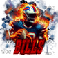 single decal Bills