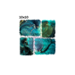 10x10 teal mermaids