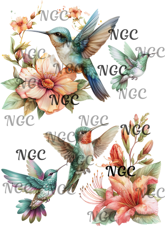 A5 Notebook Hummingbirds flowers