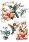 A5 Notebook Hummingbirds flowers