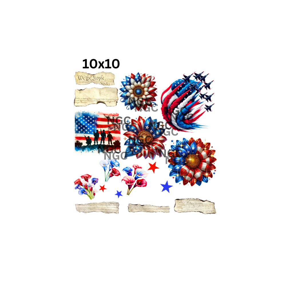 10x10 americana sunflowers & jets