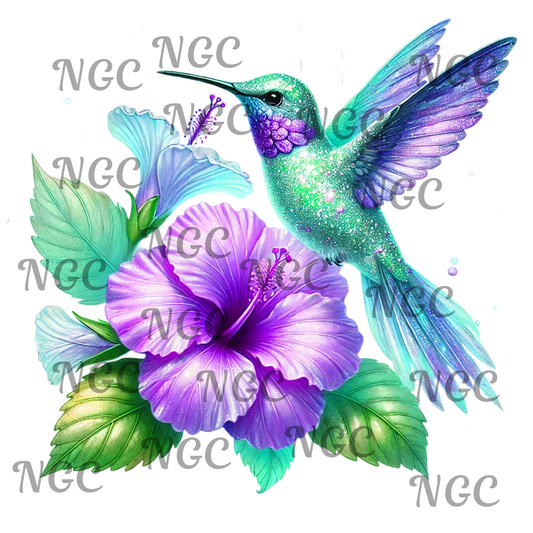single decal Hummingbird4