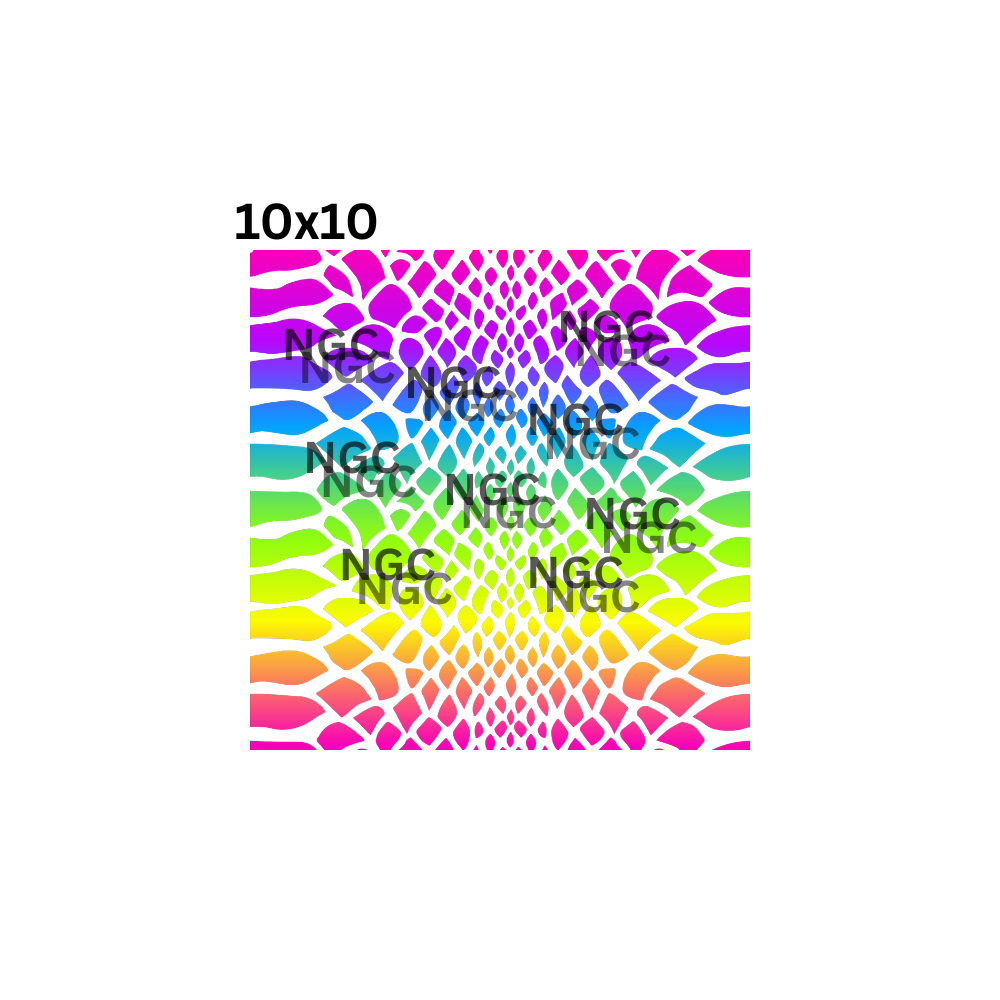 10x10 rainbow snake skin