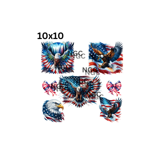 10x10 american flag with eagles