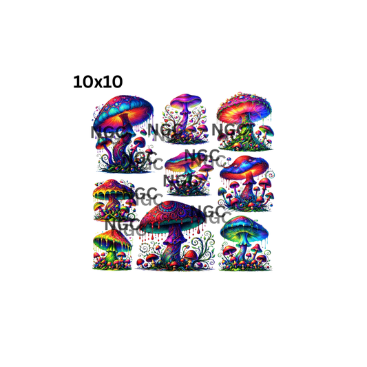 10x10 mushrooms