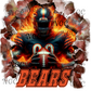 single decal bears