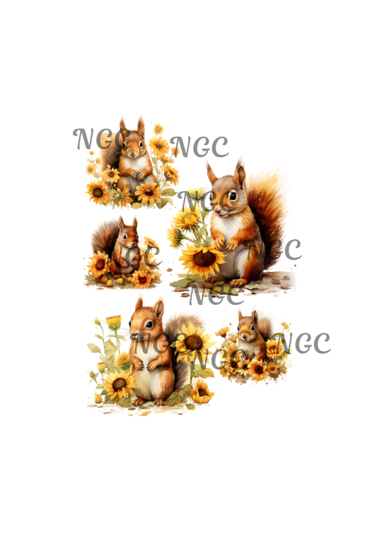 A5 Notebook squirrels