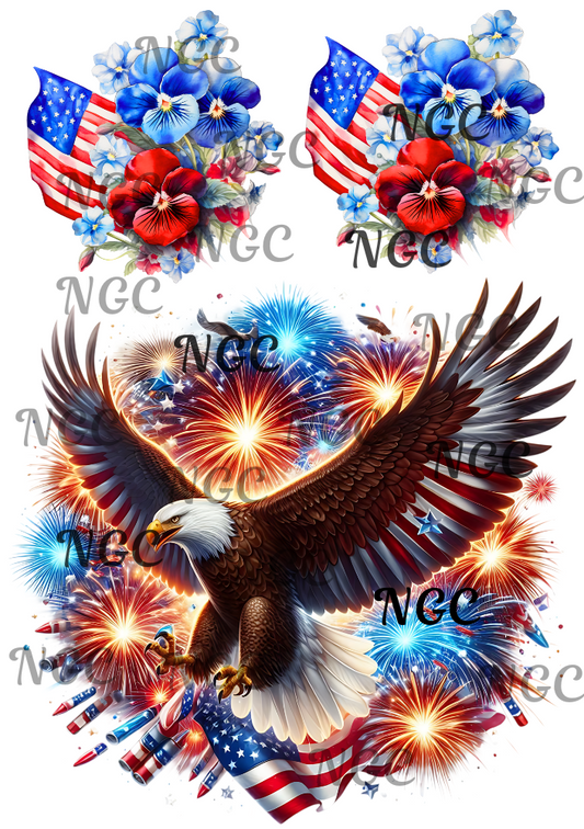 A5 Notebook Fireworks eagles