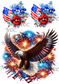 A5 Notebook Fireworks eagles