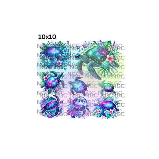 10x10 galaxy turtles