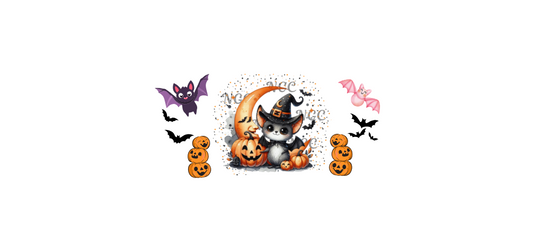 16oz cute halloween bats