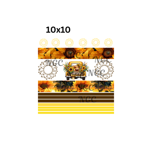 10x10 sunflowers