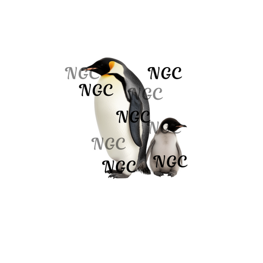 single decal penguin and baby