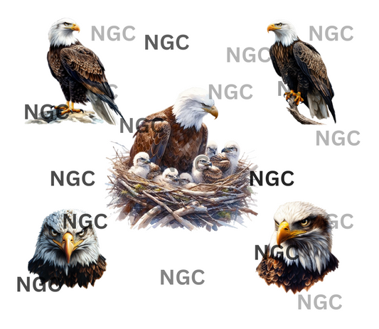 20oz wrap Bald Eagles