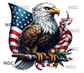 single decal eagle2