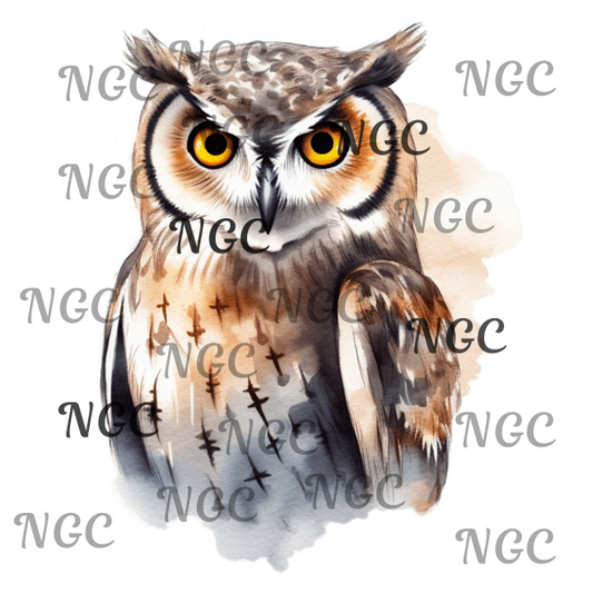 single decal Owl