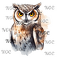single decal Owl