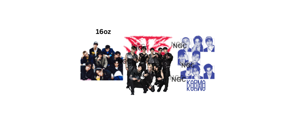 16oz Stray kids