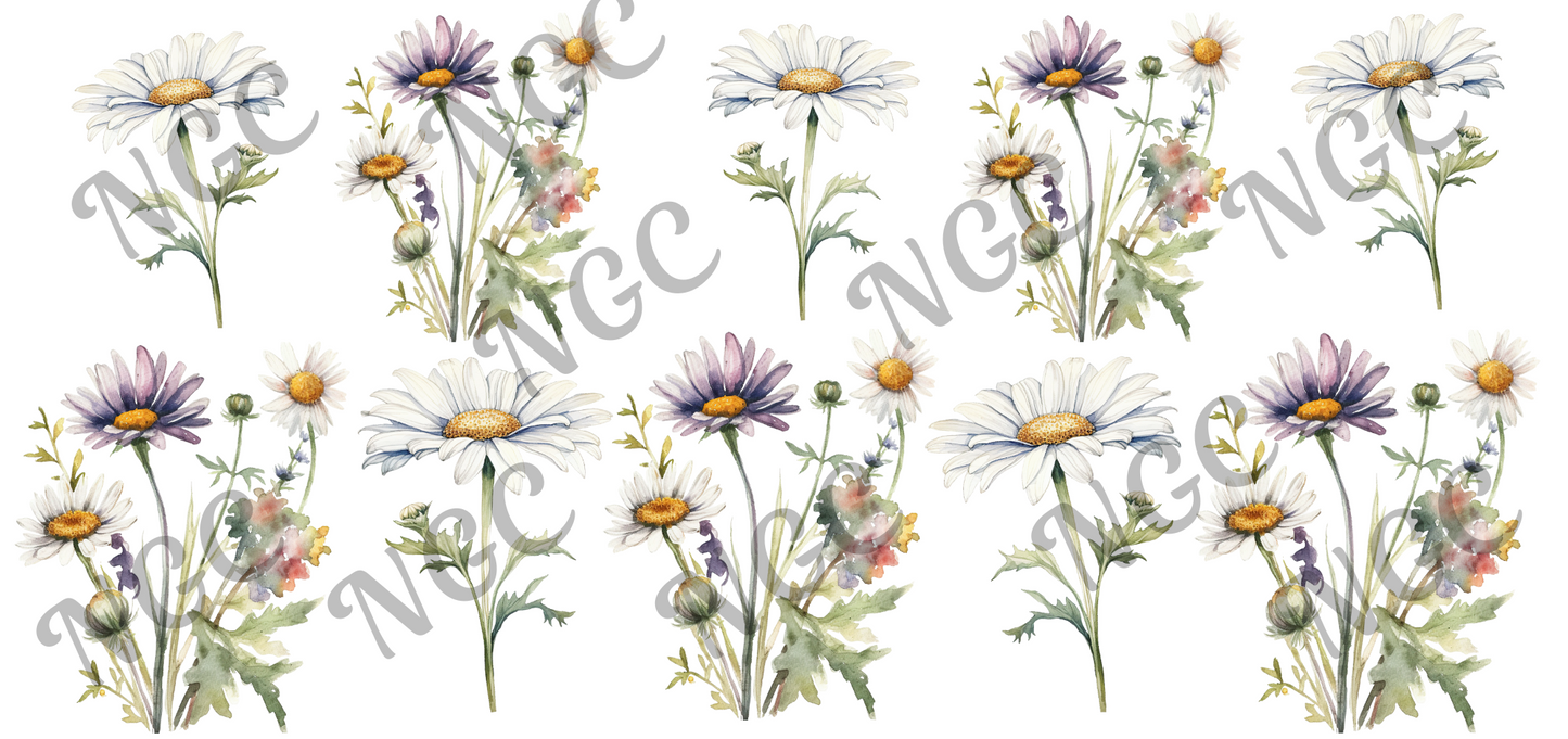 16oz wrap daisies