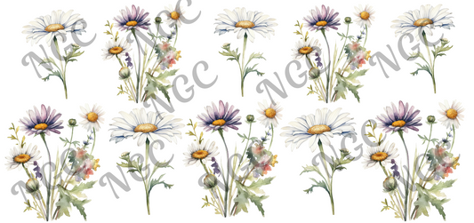16oz wrap daisies